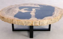 Clearance Beistelltisch Alpha Versteinertes Holz Tische