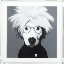 Online Bild Frame Mirror Artist Dog 60X60 Bilder