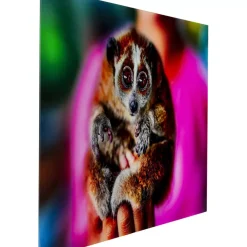 Online Bild Glas Slow Loris 80X120 Bilder