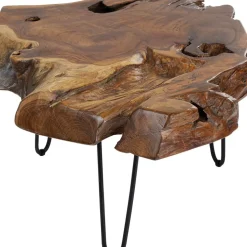 Couchtisch Aspen Natur 100X60 Tische