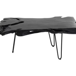 Clearance Couchtisch Aspen Schwarz 100X40 Tische