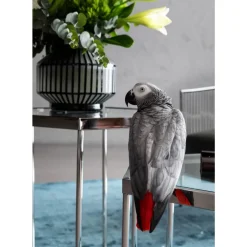 Sale Couchtisch Comb Silber 45 Tische