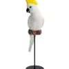 Best Deko Figur Parrot Cockatoo Weis 38Cm Deko & Geschenkartikel
