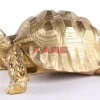 Discount Deko Figur Turtle Gold Gros Deko & Geschenkartikel
