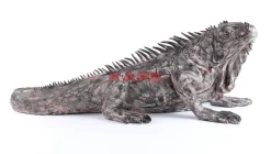 Deko Objekt Iguana 135Cm Deko & Geschenkartikel