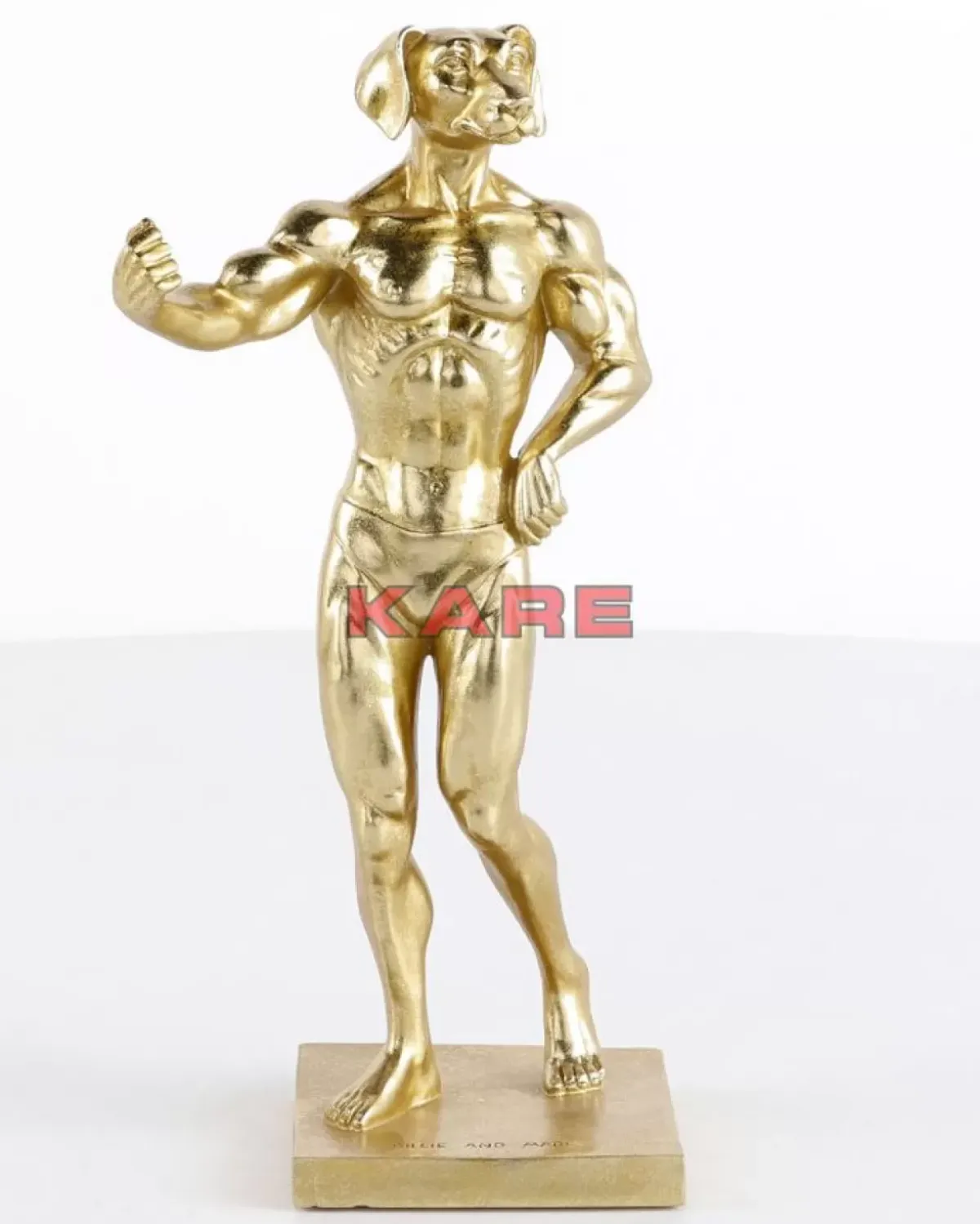Best Deko Objekt Muscle Dog Gold Deko & Geschenkartikel