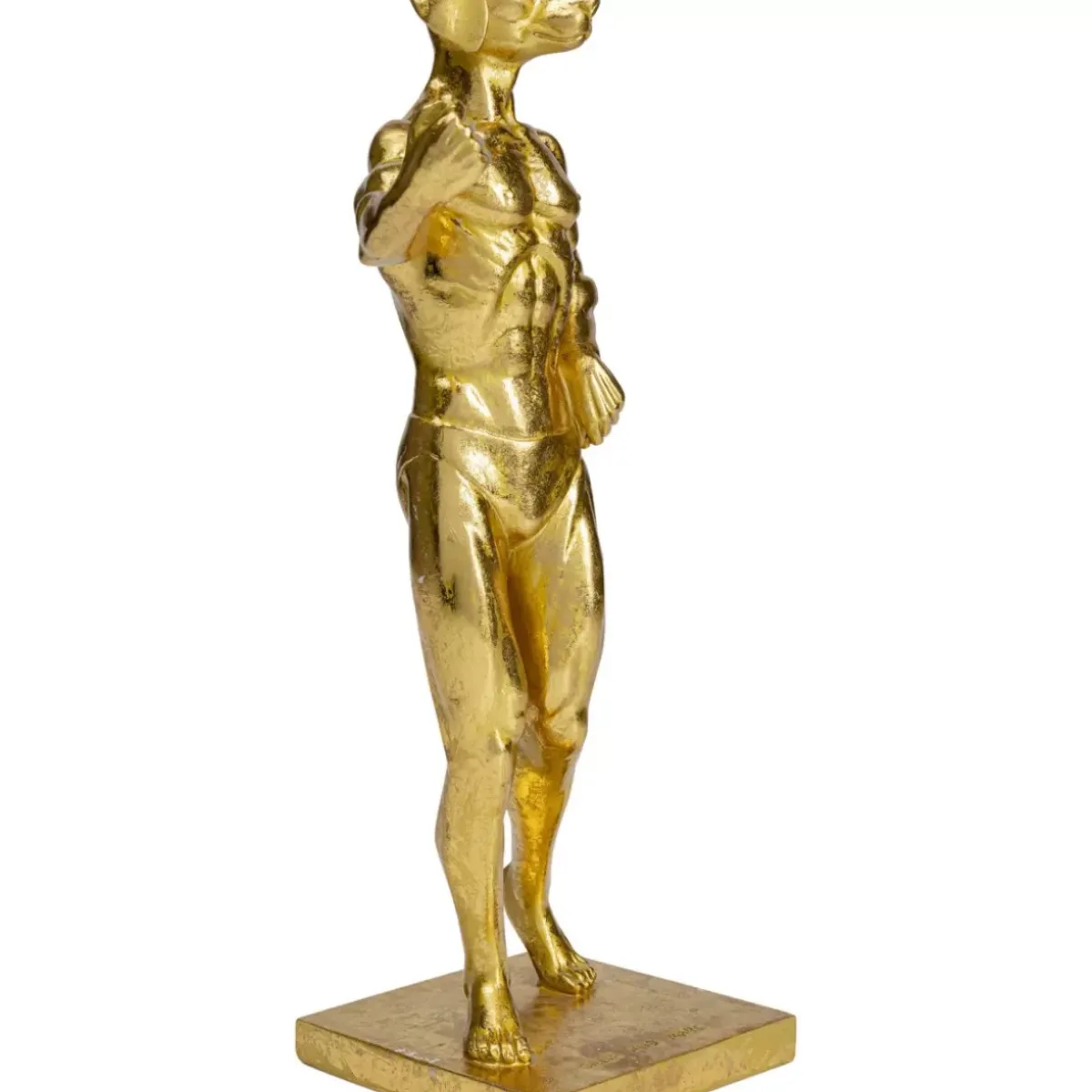 Best Deko Objekt Muscle Dog Gold Deko & Geschenkartikel