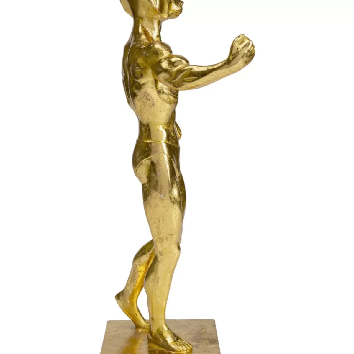 Best Deko Objekt Muscle Dog Gold Deko & Geschenkartikel