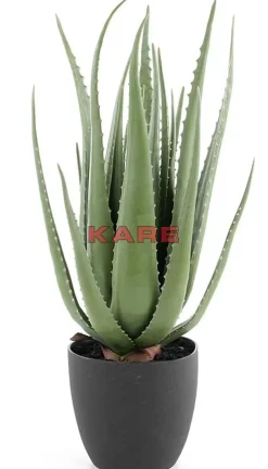 Clearance Deko Pflanze Aloe 69Cm Deko & Geschenkartikel
