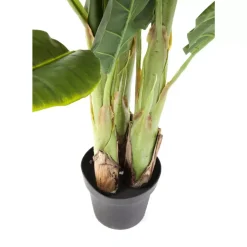 Deko Pflanze Banana Tree 180Cm Deko & Geschenkartikel