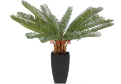 Outlet Deko Pflanze Cycas Tree 78Cm Deko & Geschenkartikel