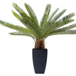 Outlet Deko Pflanze Cycas Tree 78Cm Deko & Geschenkartikel