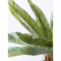 Outlet Deko Pflanze Cycas Tree 78Cm Deko & Geschenkartikel
