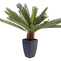 Outlet Deko Pflanze Cycas Tree 78Cm Deko & Geschenkartikel