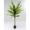Online Deko Pflanze Dracaena Fragrans 180Cm Deko & Geschenkartikel