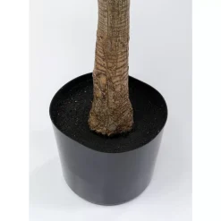 Online Deko Pflanze Dracaena Fragrans 180Cm Deko & Geschenkartikel