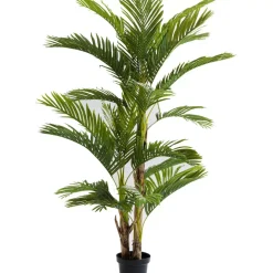 Sale Deko Pflanze Palm Tree 190 Deko & Geschenkartikel