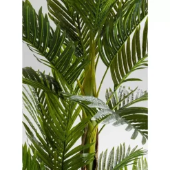 Sale Deko Pflanze Palm Tree 190 Deko & Geschenkartikel