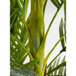Sale Deko Pflanze Palm Tree 190 Deko & Geschenkartikel