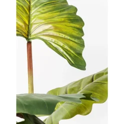 Hot Deko Pflanze Rainforest Green 160Cm Deko & Geschenkartikel