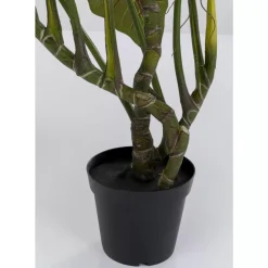 Deko Pflanze Taro 180 Deko & Geschenkartikel