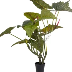 Deko Pflanze Taro 180 Deko & Geschenkartikel