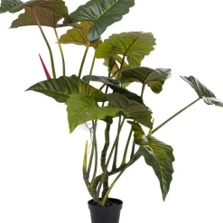 Deko Pflanze Taro 180 Deko & Geschenkartikel