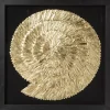 Hot Deko Rahmen Golden Snail 120X120Cm Bilder