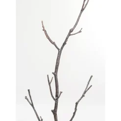 Discount Garderobenstander Tree Branch 183Cm Kleinmöbel & Sonstiges