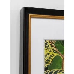 Discount Gerahmtes Bild Birds In Jungle 80X100Cm Bilder