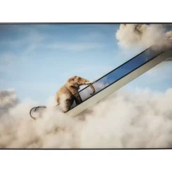 Hot Gerahmtes Bild Elephant In The Sky 150X100Cm Bilder