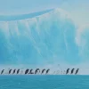 Online Gerahmtes Bild Walking Penguins 140X140Cm Bilder