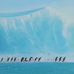 Online Gerahmtes Bild Walking Penguins 140X140Cm Bilder