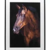 Outlet Gerahmtes Bild Wendy 75X105Cm Bilder