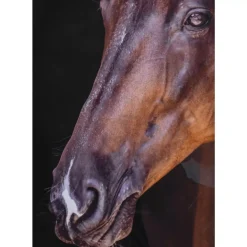Outlet Gerahmtes Bild Wendy 75X105Cm Bilder