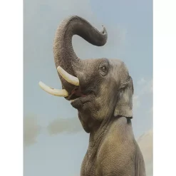 Online Glasbild Balance Elephant 150X100Cm Bilder