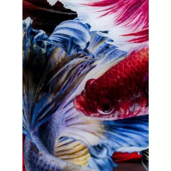 Online Glasbild Colorful Swarm Fish 120X120Cm Bilder