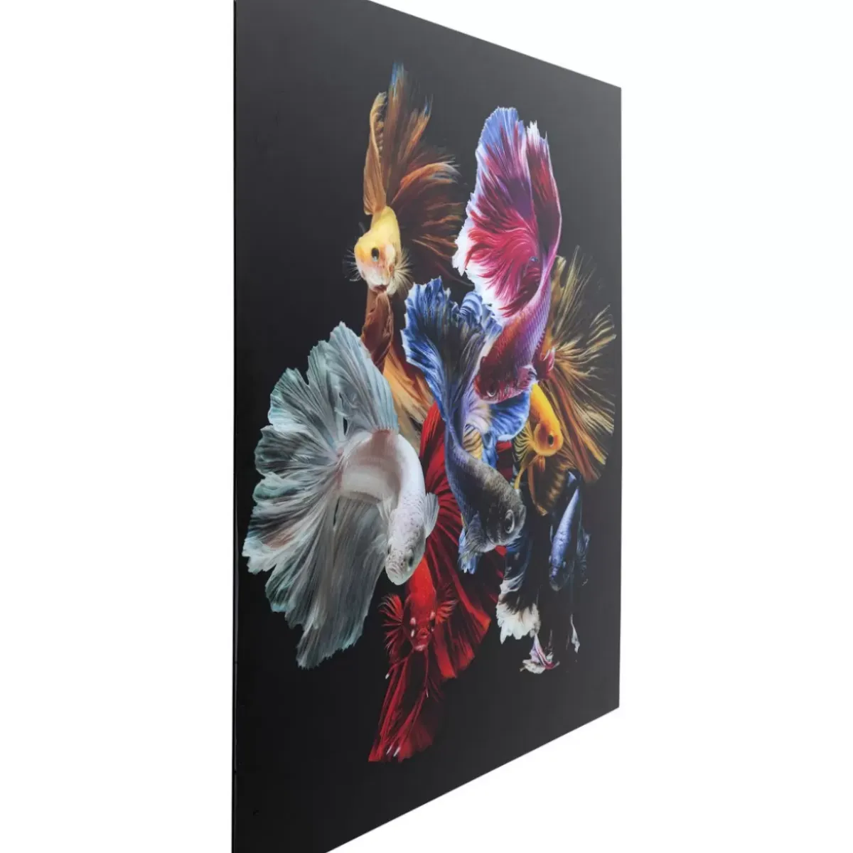 Online Glasbild Colorful Swarm Fish 120X120Cm Bilder