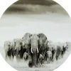 Online Glasbild Elephant Walk O120Cm Bilder