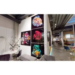 Outlet Glasbild Fire Fish 100X100Cm Bilder