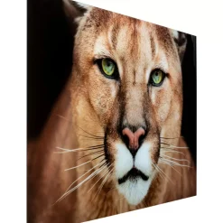 Outlet Glasbild Lioness 150X100Cm Bilder