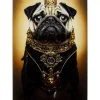 Best Glasbild Prince Pug 40X60Cm Bilder