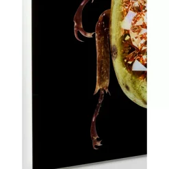 Clearance Glasbild Shiney Dung Beetle 80X120Cm Bilder