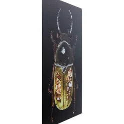 Clearance Glasbild Shiney Dung Beetle 80X120Cm Bilder