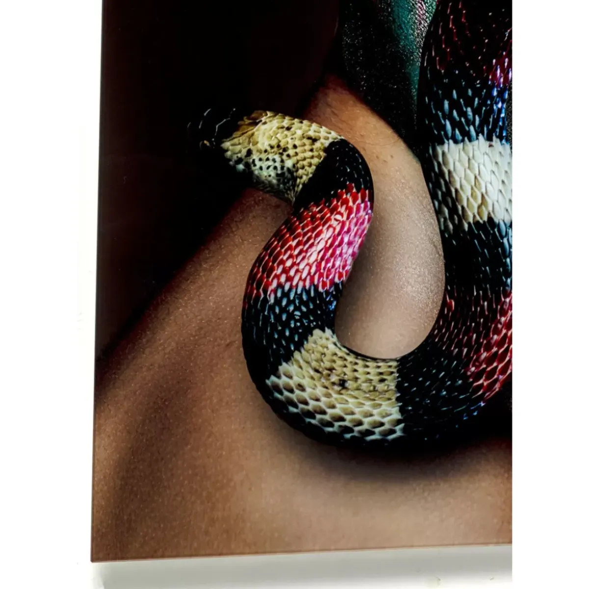 Online Glasbild Snake Girl 80X120Cm Bilder