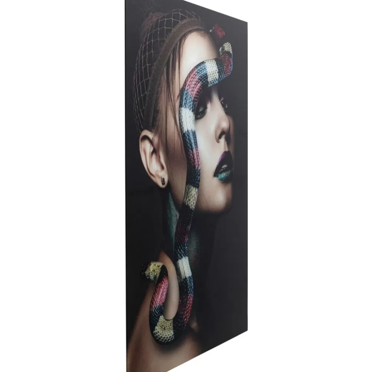 Online Glasbild Snake Girl 80X120Cm Bilder