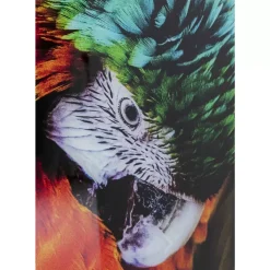 Discount Glasbild Tropical Parrot 120X80Cm Bilder