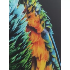 Discount Glasbild Tropical Parrot 120X80Cm Bilder