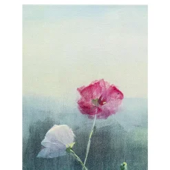Best Leinwandbild Pastell Flowers 120X120Cm Bilder