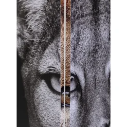 Best Paravent King Lion Vs Cat Girl 120X180Cm Paravents